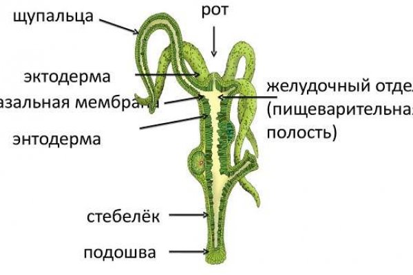 Почему не могу зайти на кракен